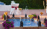 Fuente del comedor